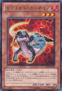 游戏王 日文ORCS-JP026  R 银字 进化虫奶酪湾蜥 5C1