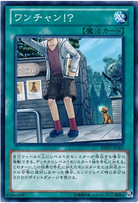 游戏王 日版 N  一狗机会！？/汪分之一机会 DDD/青眼 检索 JM3