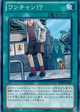 游戏王 日版 N  一狗机会！？/汪分之一机会 DDD/青眼 检索 JM3