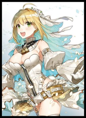 游戏王动漫妹套 FATE FGO 花嫁 尼禄 C92会场限定卡套 牌套 4C1