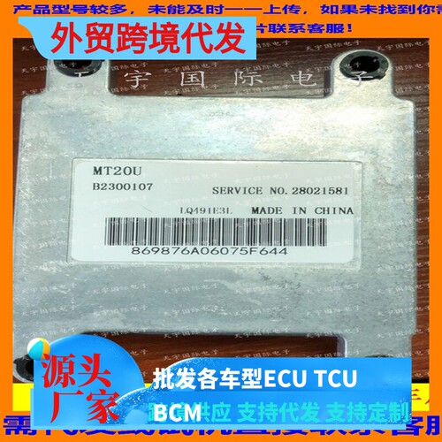 东风风行28021581B2300107