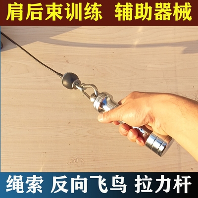 反向飞鸟肩后束单头拉力杆