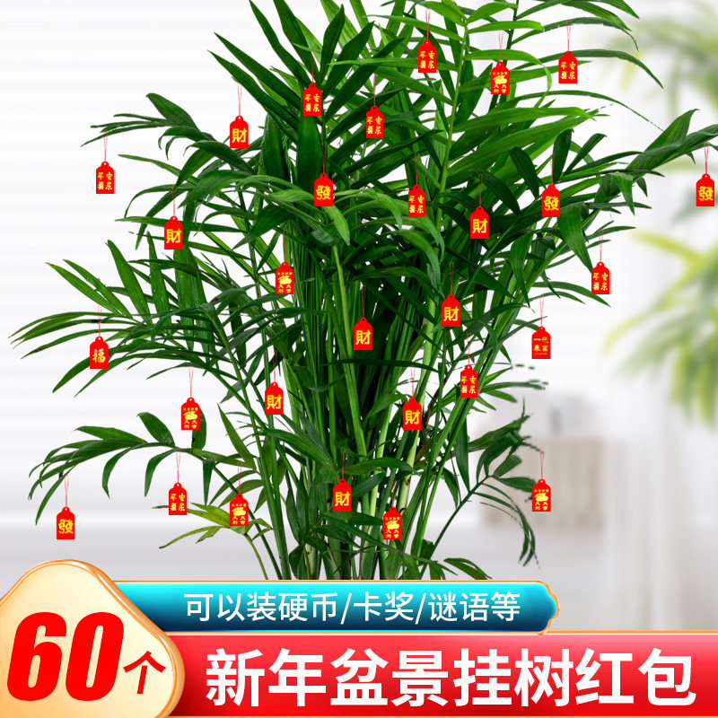 新年盆景树上红包室内带挂绳装饰盆栽绿植过年布置发财树挂件挂饰