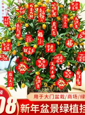 2026马年春节布置室内外挂饰过新年挂件桔子树发财树盆景装饰卡片
