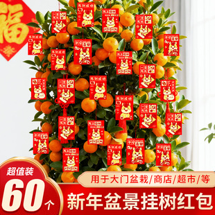 2026马年焕新挂饰红包福袋年桔发财树绿植盆景春节氛围感挂件C