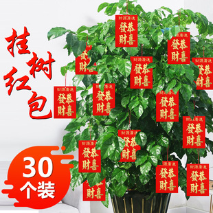 2026年马年春节新年挂件室内装饰盆景用品发财树年橘挂树红包袋子