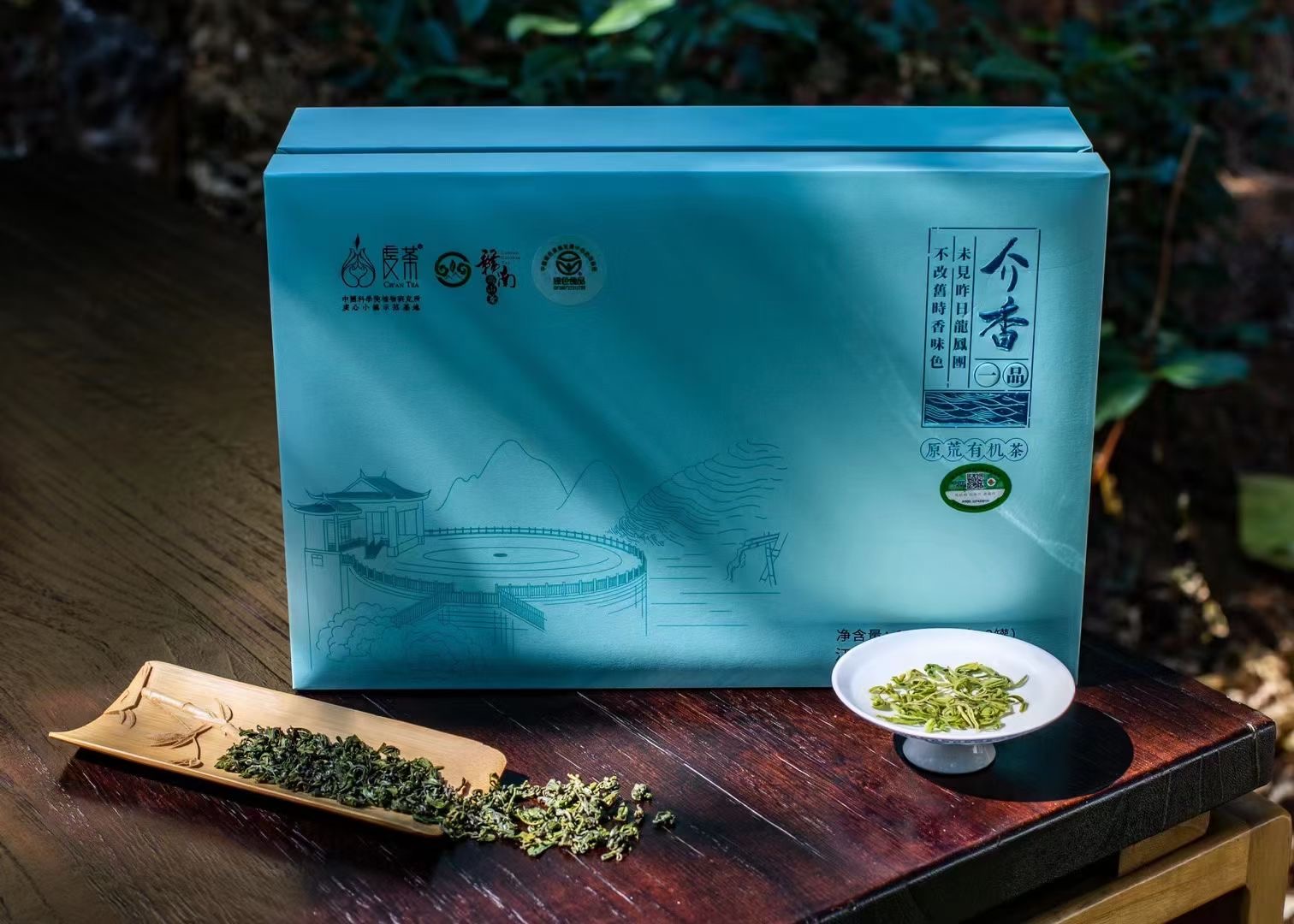 新茶虔茶绿茶虔茶浓香清明茶