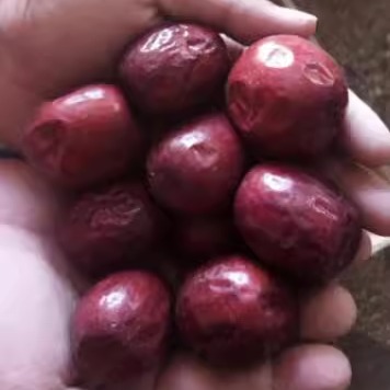 2025年阜平红枣大枣婆枣干枣阴干河北保定特产1500克 满3份包邮