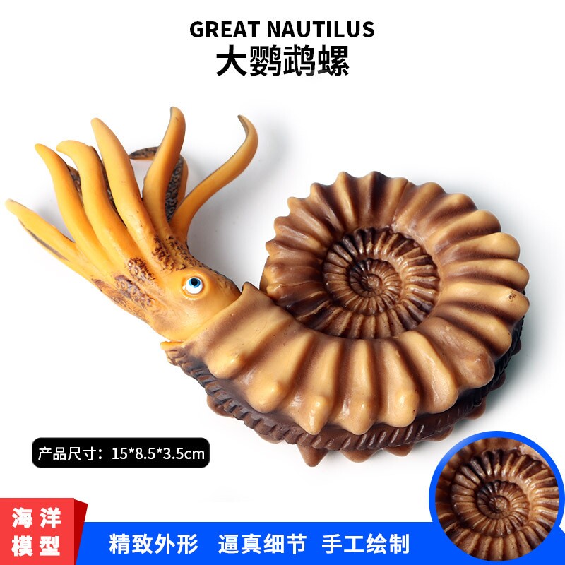 儿童史前巨兽玩具菊石模型仿真动物远古时代海洋生物鹦鹉螺男孩