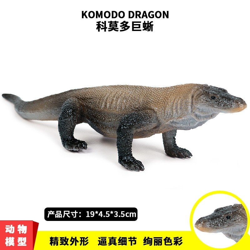 儿童动物玩具科莫多巨蜥模型实心塑胶仿真蜥蜴男孩认知礼物摆件