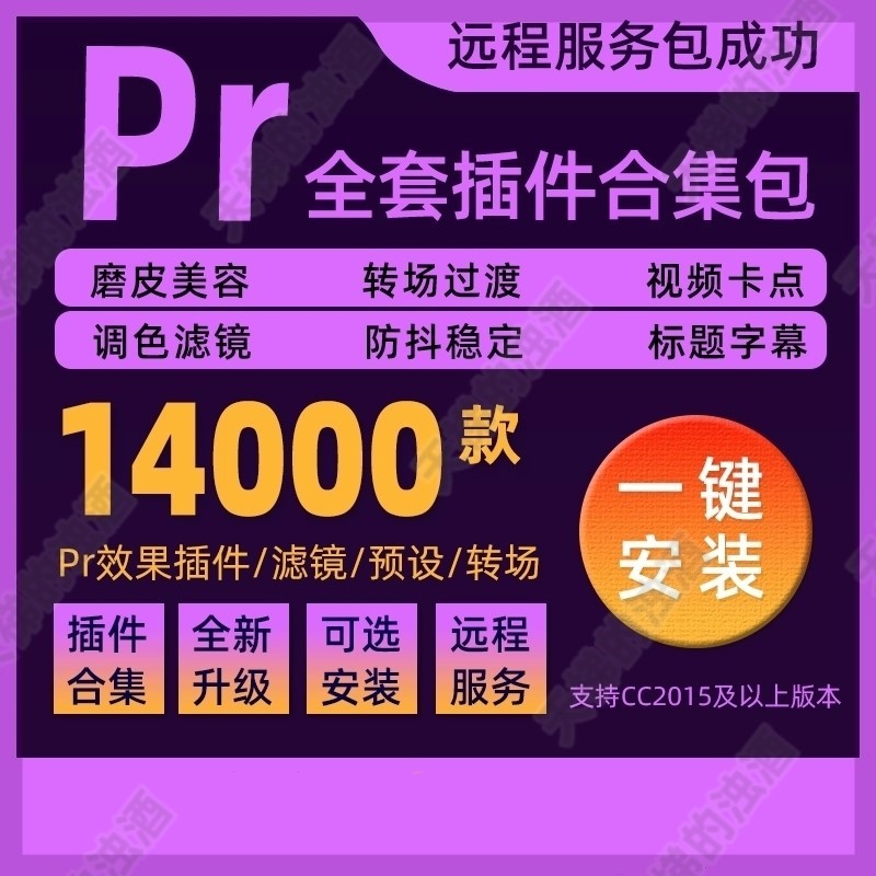 2024PR插件合集全套一键安装包中文转场特效磨皮调色滤镜字幕2025