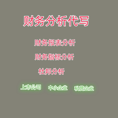 财务分析代写财务指标代写上市公司财报分析杜邦分析企业经营分析