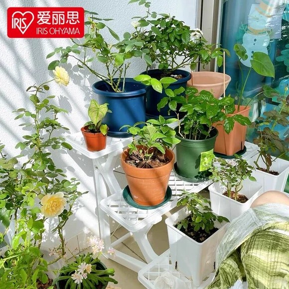 爱丽思塑料阳台置物架室内外花架客厅落地式多肉花架子花盆爱丽丝,鲜花速递/花卉仿真/绿植园艺,花架,淘宝优惠券,粉丝福利购,淘宝优惠卷