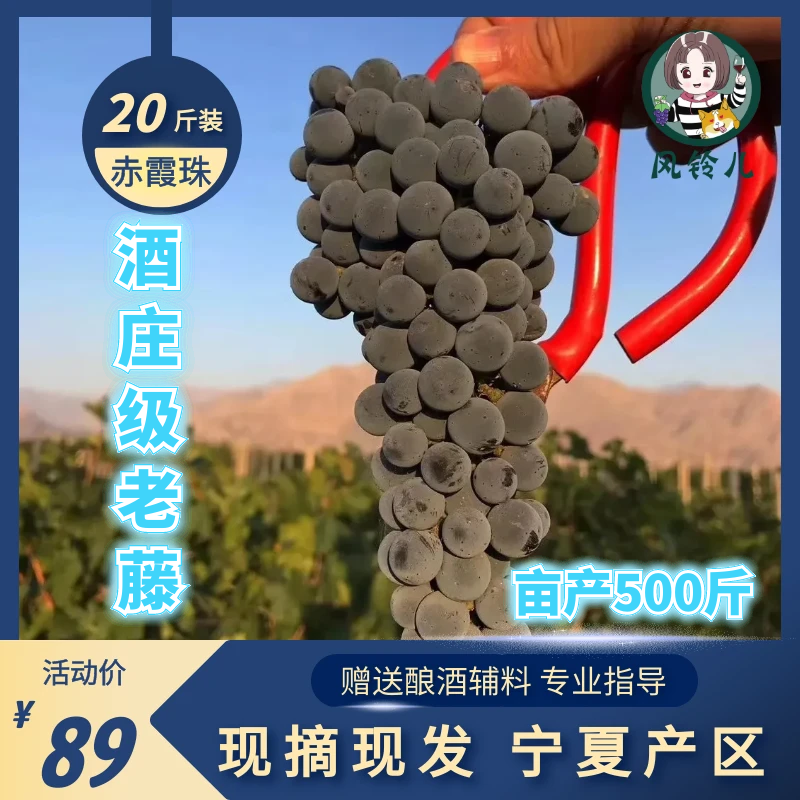 宁夏产区现摘酿酒葡萄20斤装新鲜赤霞珠葡萄紫葡萄山葡萄自酿红酒