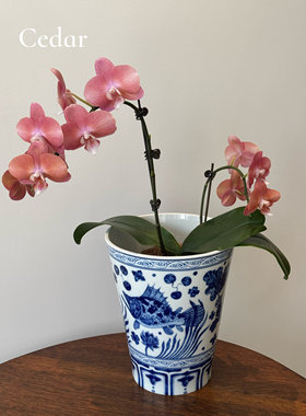 爆款花盆景德镇青花瓷鳜鱼鱼藻纹花瓶花盆家具摆件玄关无孔花瓶