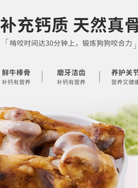狗狗磨牙棒风干牛锤锤骨宠物去牙结石口臭洁齿耐咬磨牙棒中大型犬