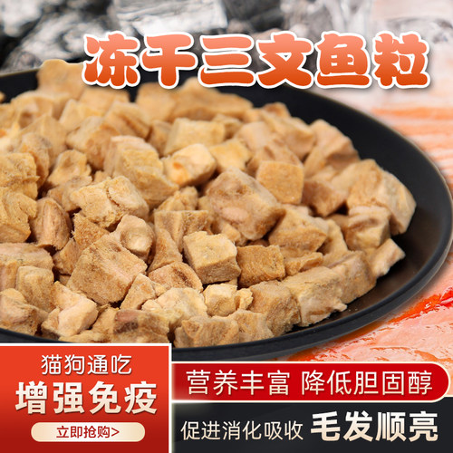 冻干三文鱼粒营养零食猫