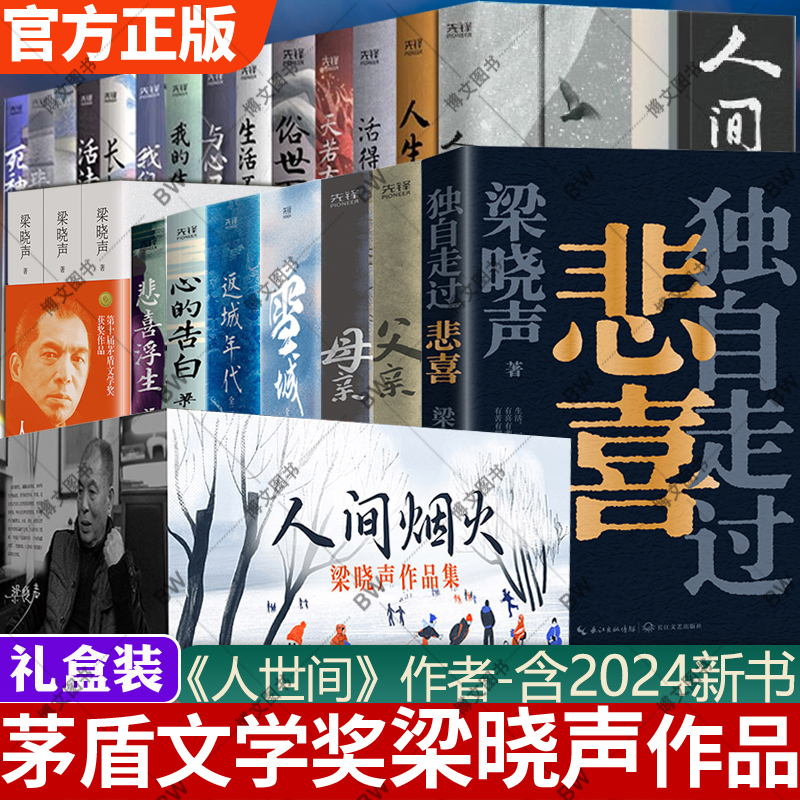 梁晓声人世间作品集父亲原著书全套年轮精选毕业生雪城觉醒重生今夜有暴风雪返城年代我的小学父父子子知青小说水墨插画-封面