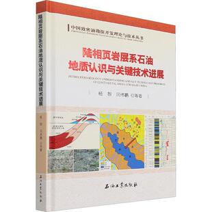 “RT正版” 陆相页岩层系石油地质认识与关键技术进展   石油工业出版社   自然科学  图书书籍