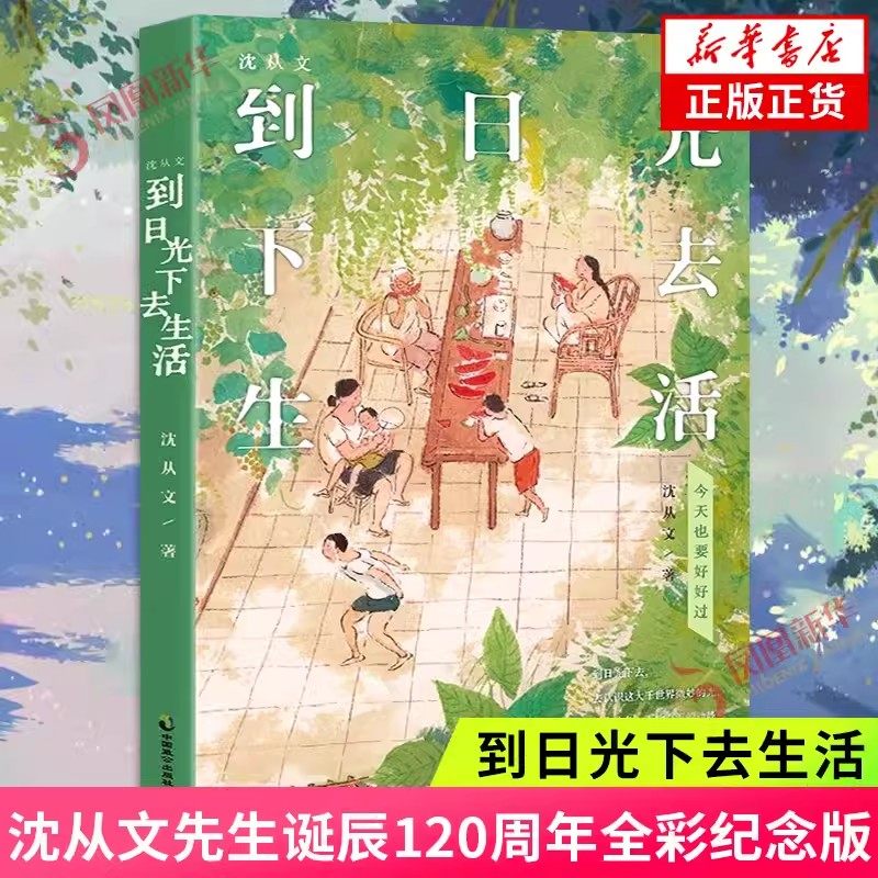 正版到日光下去生活沈从文