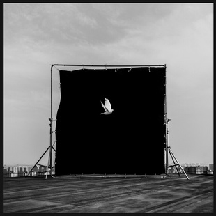 you are going？摇滚音乐CD你要往哪儿去 海龟先生专辑Where 现货