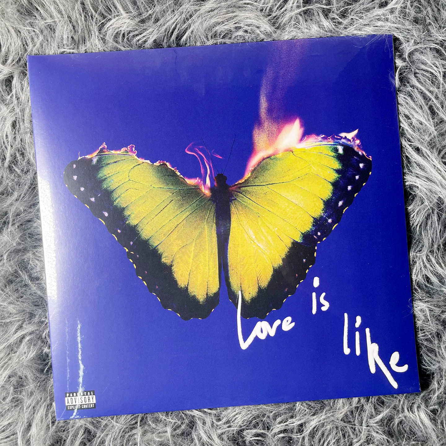 正版 魔力红乐团 Maroon 5 Love Is Like 蓝胶 彩胶 LP黑胶唱片
