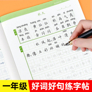 小学生好词好句大全摘抄本练字优美句子积累书一年级幼小衔接小作文佳句组词造句词语手册词汇量好句子同步练习训练字词作文素材