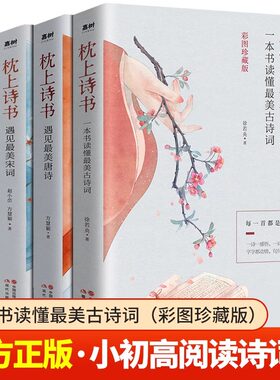 抖音同款枕上诗书全套4册