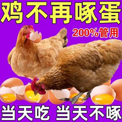 鸡啄肛啄羽药啄毛防啄蛋止啄止咬禽用鸡鸭叨毛打架维生素防啄卫士