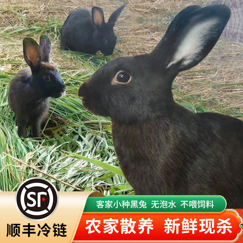 金润源兔子肉客家小种黑兔肉整只装散养兔子现杀净膛