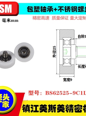MSM包塑轴承滑轮高承载抗撞击塑料尼龙POM聚甲醛BS62525-9C1L8M6