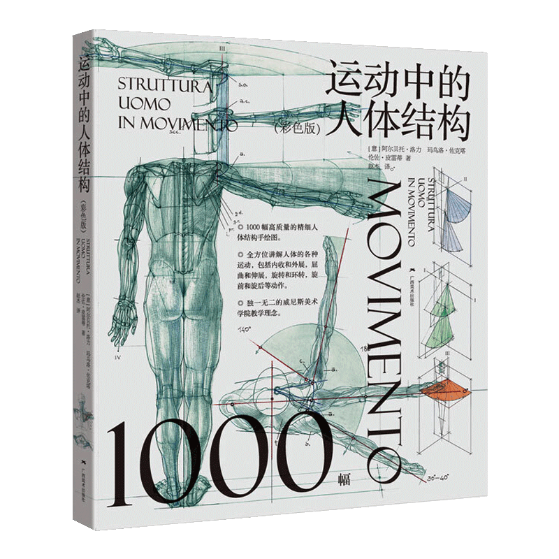 运动中的人体结构 彩色版 阿尔贝托洛力 每种运动单个解剖结构描述 整个器官组织弹性突起皮肤起伏变化详细分析 绘画技巧基础书籍