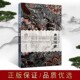 张从军著 全新正版 佛教艺术文化宗教理论佛教文化宗教知识文集石窟建筑中国通俗读物经典 畅销阅读书籍 齐鲁书社 著作 走近石窟