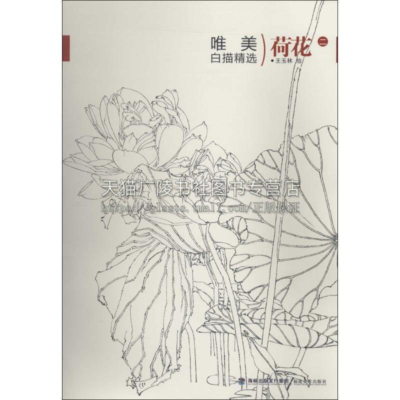 唯美白描精选 荷花 二 工笔画花卉技法白描底稿勾线稿毛笔画谱国画