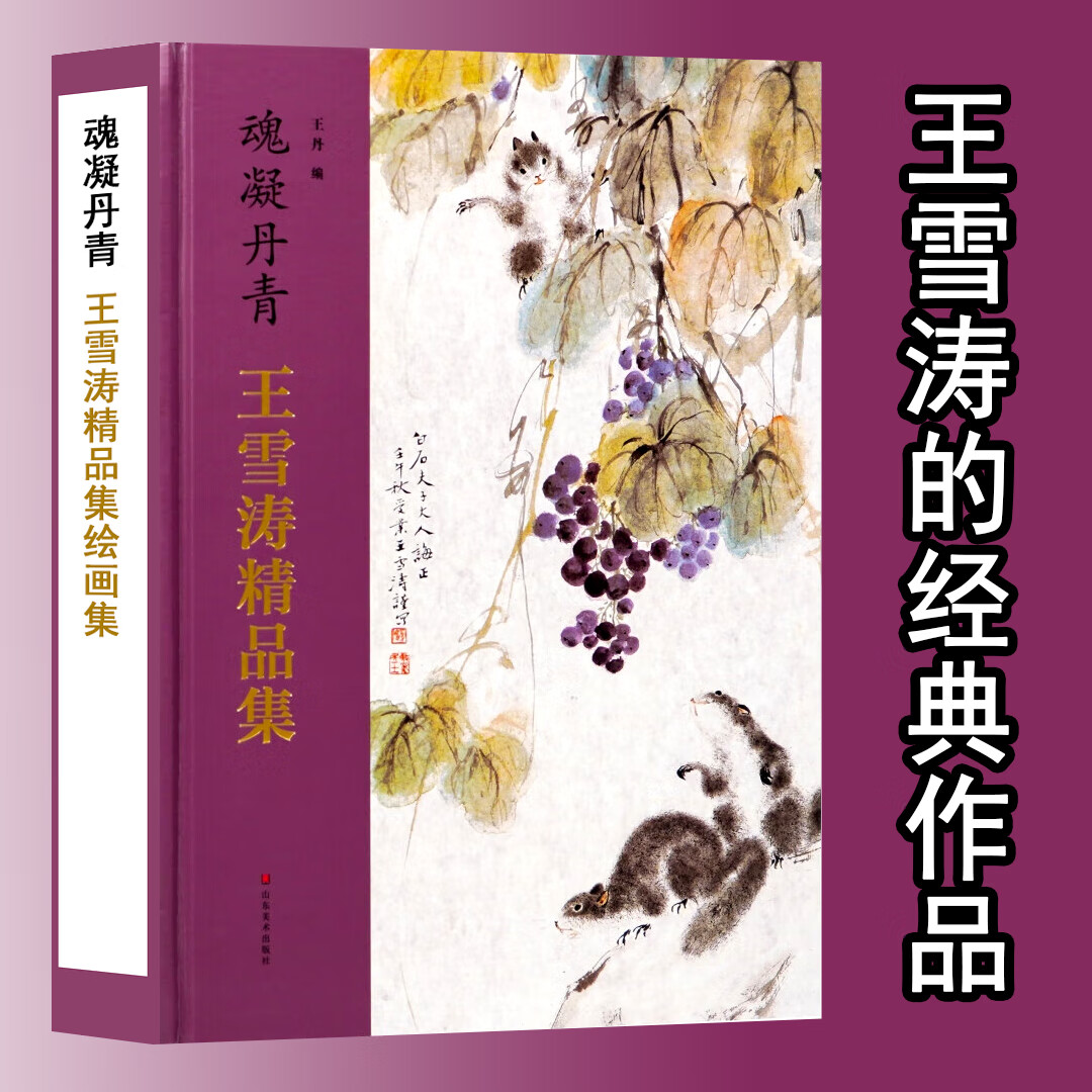 魂凝丹青王雪涛精品集 8开精装函套穿插名家评述 中国花鸟画集 写意花鸟画国画鉴赏 王雪涛花鸟画 花鸟画教程书籍 山东美术出版