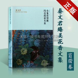 儿童文学经典 闪亮 秦文君臻美花香文集苜蓿卷 中国当代长篇小说作品集 萤火虫 供大众阅读 畅销书籍 小鬼鲁智胜 上海少年儿童出版