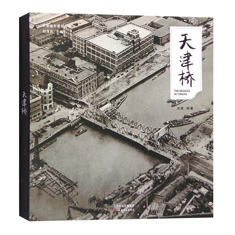 天津桥 张建 著 海河运河子牙月牙河复兴河上的桥梁解放桥大沽桥狮子林桥天津卫历史城市建筑艺术景观研究书籍