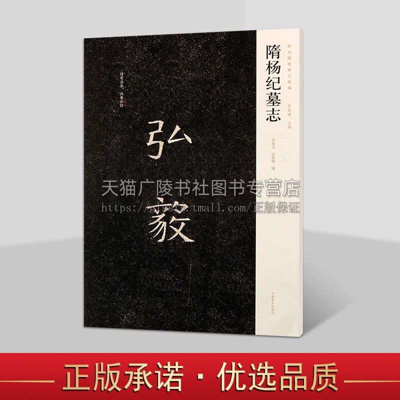 隋杨纪墓志艺术 新出隋唐碑志编原色原帖简体释文旁注整拓赏析楷书毛笔书法字帖临摹本 河南美术出版社