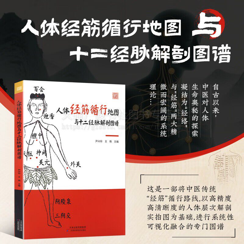 人体经筋循行地图与十二经脉解剖图谱中医传统经筋理论 中医针灸学书籍 经络穴位识别大全 图解穴位定位 天津科学技术出版社