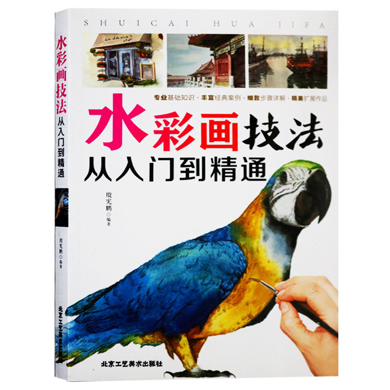 水彩画技法从入门到精通 殷宪鹏 水彩画绘画技法教程教材 水彩画技法解析入门提高 国画绘画入门自学零基础书籍 北京工艺美术出版