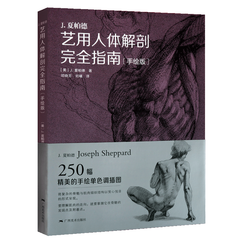 艺用人体解剖完全指南 手绘版 J夏帕德著 如何掌握人体比例的技巧 人体的各个部分讲解 绘画技法技巧临摹书籍 广西mei术出版社