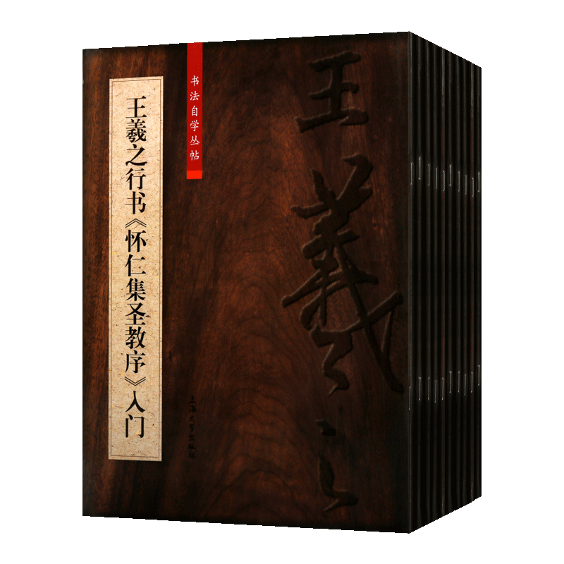 书法自学丛帖系列（共十册）名家楷书行书篆书书法入门 欧阳询王羲之颜真卿柳公权 玄秘塔碑等字帖临摹研究鉴赏书籍 上海大学出版