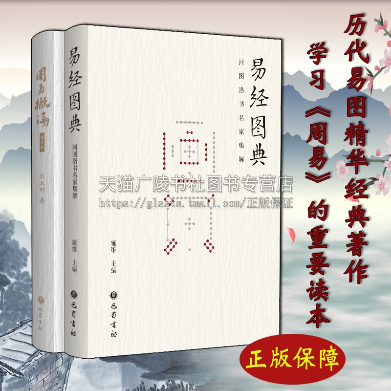 易经图典 周易概论 组套2册 中国古代哲学经典名家著作鉴赏收藏工具书 精要讲解传统象数易学理论研究方法周易阅读书籍 巴蜀书社