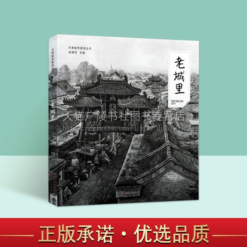 天津城市景观丛书 老城里 老街巷建筑鼓楼文庙祁家大院北海楼商场官银号华北戏院问津书院广东会馆天津卫历史民俗文化书籍
