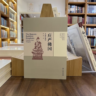 考古与文明丛书：庄严佛国-中国石窟寺【平】石窟寺佛像 佛教艺术 中国石窟寺艺术赏析 文物出版社