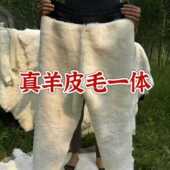 真羊皮毛一体裤 冬季 子男女高腰中老年保暖户外防寒羊皮裤 加厚棉裤