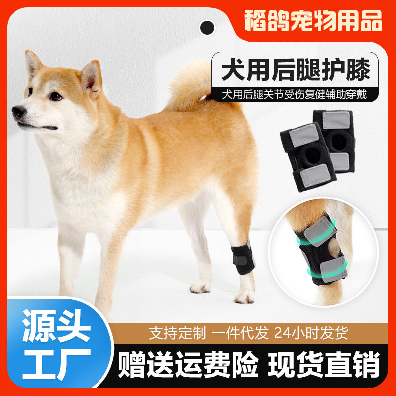 跨境2026新款宠物护膝老龄犬辅助支撑运动狗狗后腿狗护腿保护套