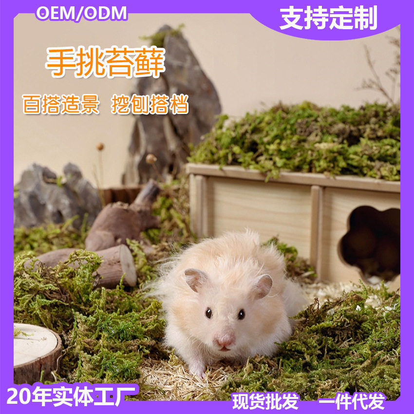 干苔藓仓鼠森林金丝熊垫料宠物笼子造景用品筑巢挖掘除臭椰土花草