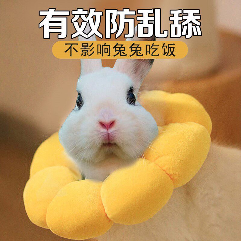 兔子伊丽莎白圈夏季柔软防舔毛防咬罩颈套防抓宠物侏儒兔项圈用品