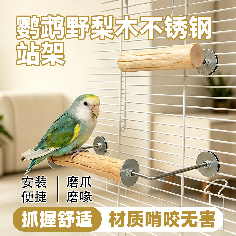 鹦鹉食盒玻璃碗放撒防翻喝水碗虎皮玄凤牡丹磁吸喂食器跨境zr
